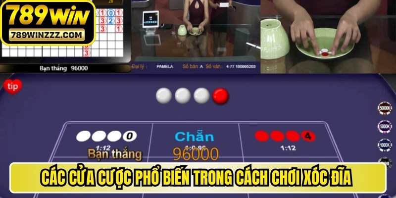 Các cửa cược phổ biến trong cách chơi xóc đĩa mới nhất
