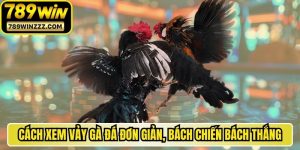 Cách Xem Vảy Gà Đá Đơn Giản, Bách Chiến Bách Thắng