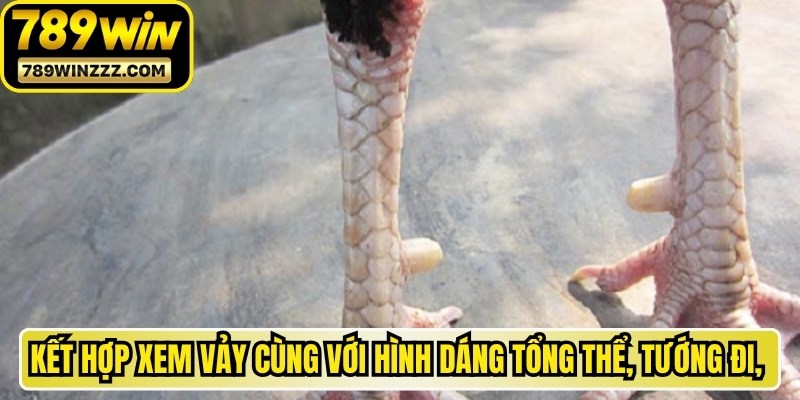 Kết hợp xem vảy cùng với hình dáng tổng thể, tướng đi, vóc dáng