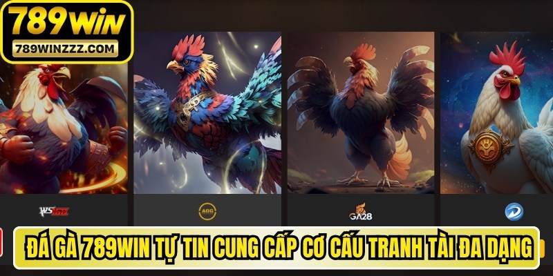 Chuyên mục đá gà 789WIN tự tin cung cấp cơ cấu tranh tài đa dạng