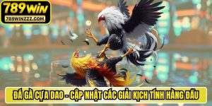 Đá Gà Cựa Dao - Cập Nhật Các Giải Kịch Tính Hàng Đầu
