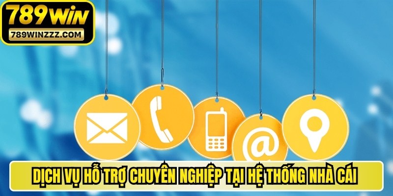 Dịch vụ hỗ trợ chuyên nghiệp tại hệ thống nhà cái 789WIN