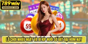Lô Chơi Nhiều Ngày Và Bí Kíp Nuôi Số Bất Bại Hôm Nay